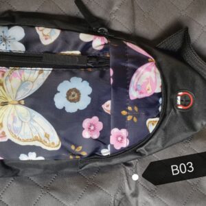 b03
