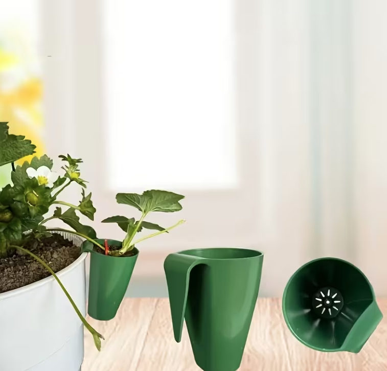 strawberry propagation cups strawberry propagation cups